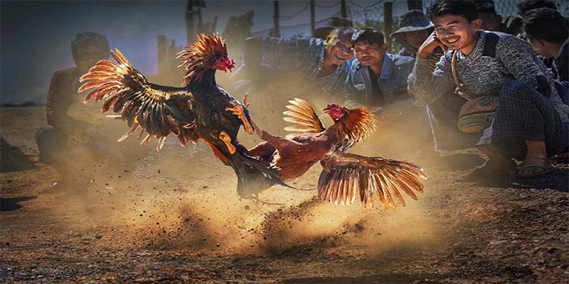 windy đăng nhập roulette số 1
