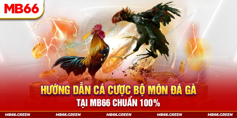 windy xổ số bình định