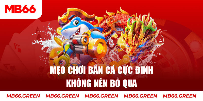 windy casino ở đâu