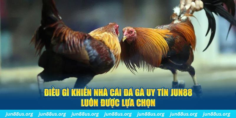 windy qq88 nổ hũ bắn cá