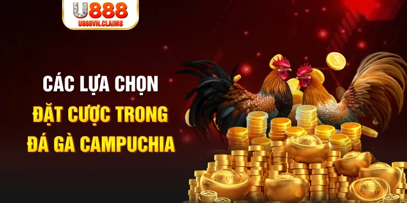 windy SW Xổ Số