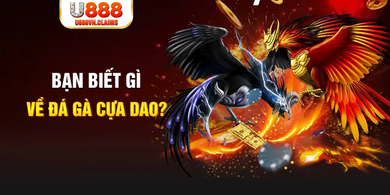 windy xổ số kiến thiết