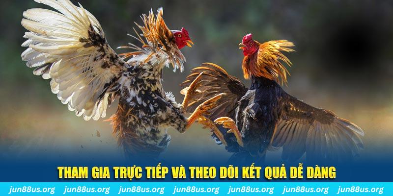 windy đá gà trực tiếp bình luận viên
