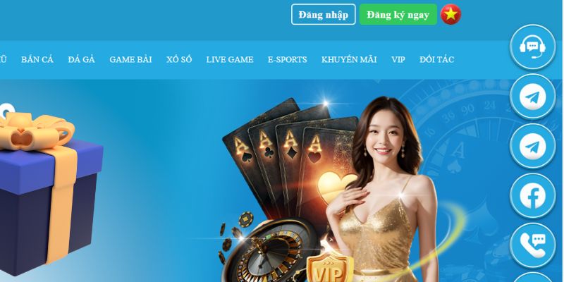 windy slot là gì dịch