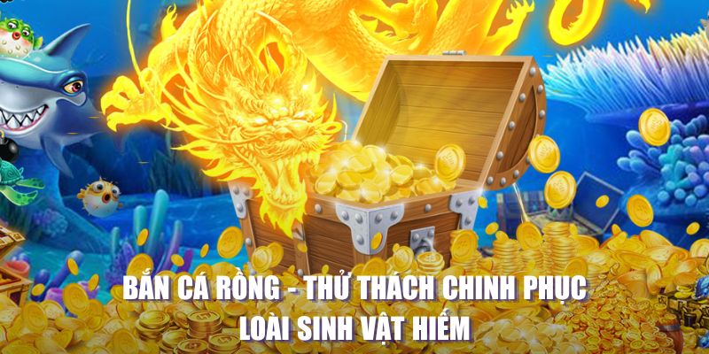 windy game bai beme tren may tinh