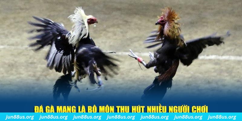 windy xổ số cà mau