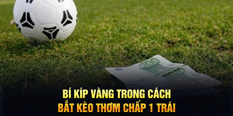 windy đăng nhập mậu binh mới nhất