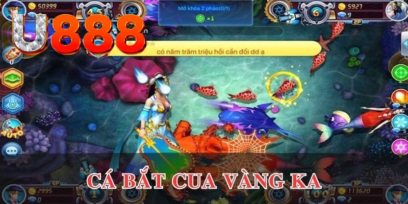 windy đăng nhập phỏm uy tín