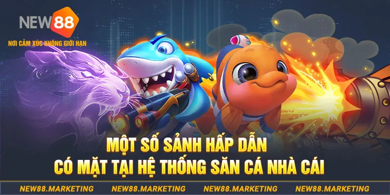 windy đăng nhập sòng bạc 2025