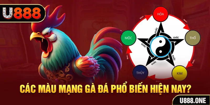 windy đăng nhập mậu binh