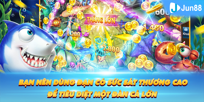 windy Tung Đồng Xu