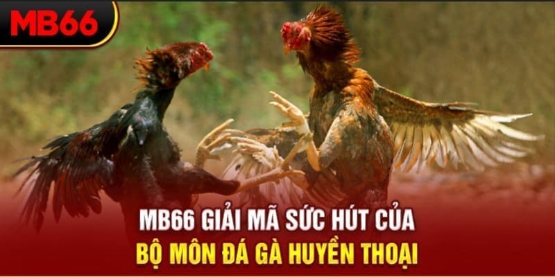 Phi Đội Ưu Tú