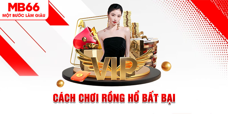 windy gà chọi cậu thanh