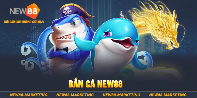 windy bắn cá online