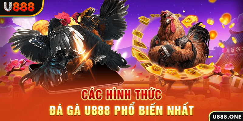 windy DB Trực Tuyến