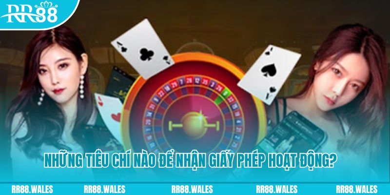 windy đăng nhập poker