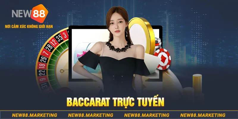 windy PA Trực Tuyến