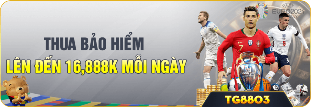 windy đăng nhập poker miễn phí