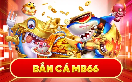 windy đá gà trực tiếp 67