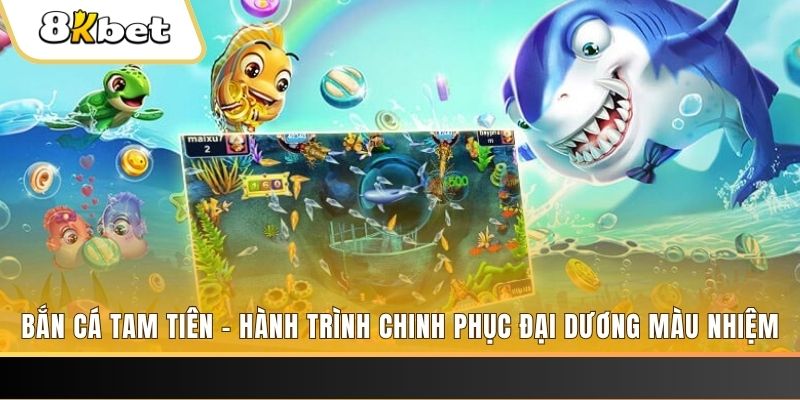 windy long bảo trong baccarat là gì