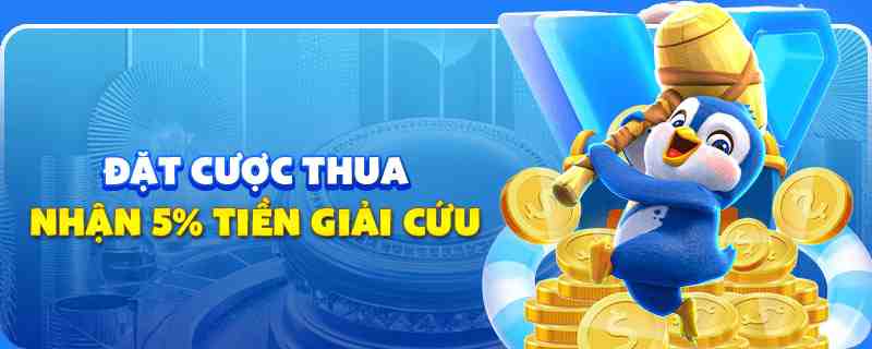 windy gà chọi cu cần