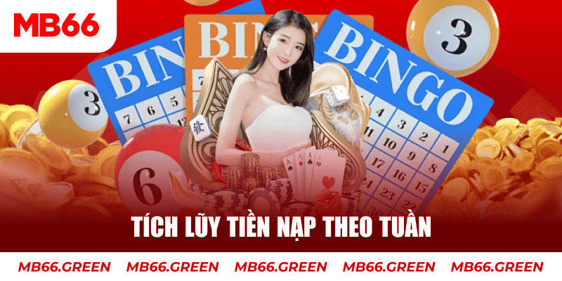 windy casino lừa đảo bạn như thế nào